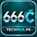 666C