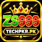 ZS999