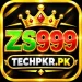 ZS999