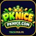 PKNice Game